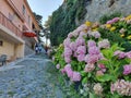 Prodromos village in Troodos mountains